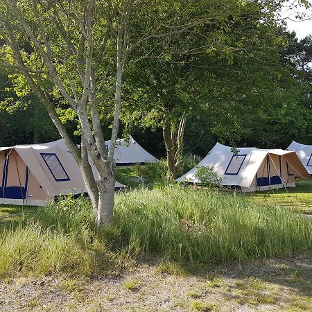 Ameland Tentenverhuur Nes  Esterno foto
