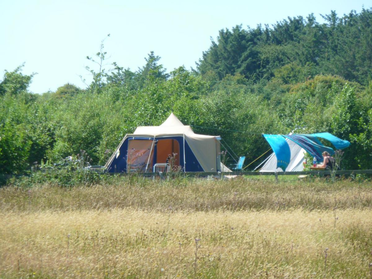 Ameland Tentenverhuur Nes  Esterno foto