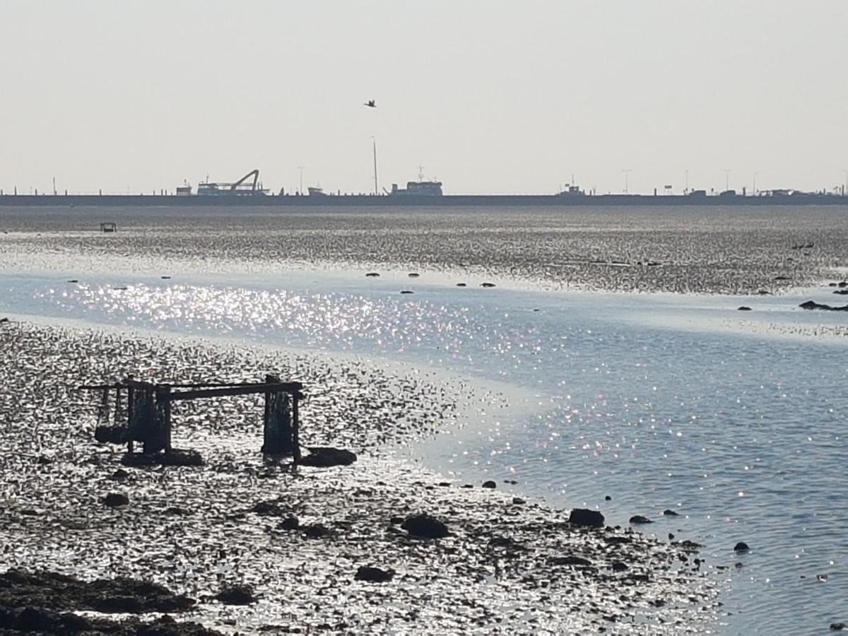 Ameland Tentenverhuur Nes  Esterno foto