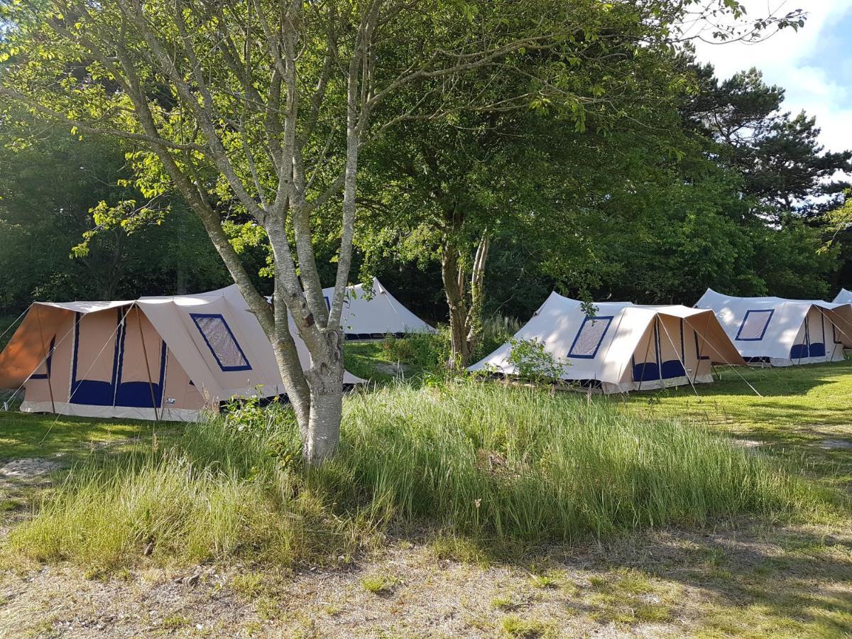 Ameland Tentenverhuur Nes  Esterno foto