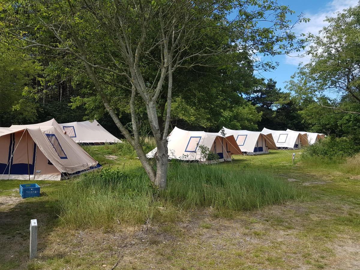 Ameland Tentenverhuur Nes  Esterno foto